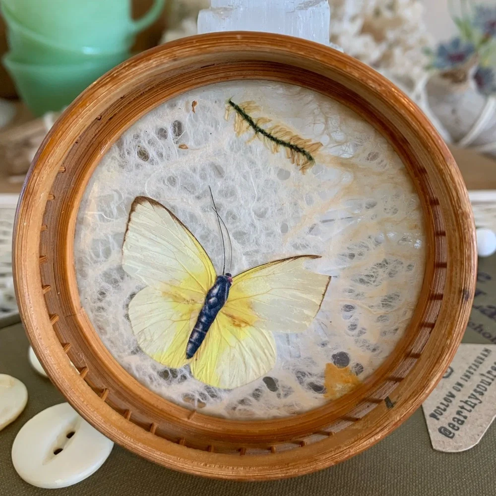 Vintage Butterfly Coaster 🦋 Unique Home Decor / Gift / Retro / Nature / Table - Picture 7 of 7